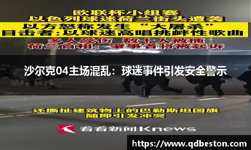 沙尔克04主场混乱：球迷事件引发安全警示