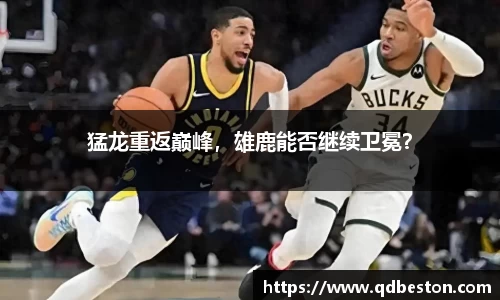 猛龙重返巅峰，雄鹿能否继续卫冕？