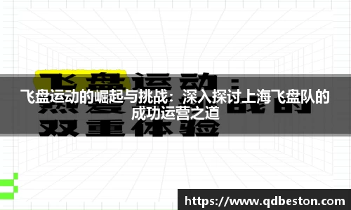 飞盘运动的崛起与挑战：深入探讨上海飞盘队的成功运营之道