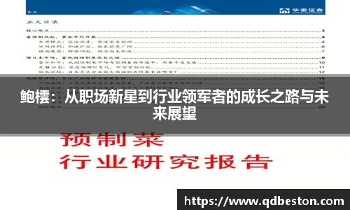 鲍橒：从职场新星到行业领军者的成长之路与未来展望