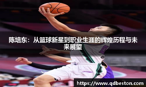 bsports必一运动